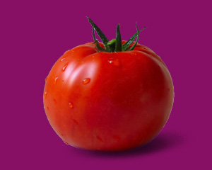 помидора